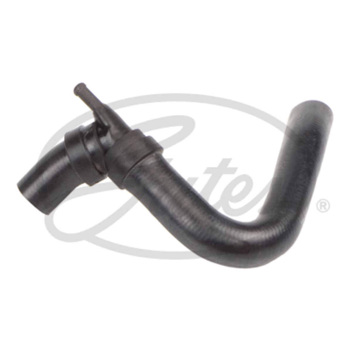 Image of Radiatorslang
