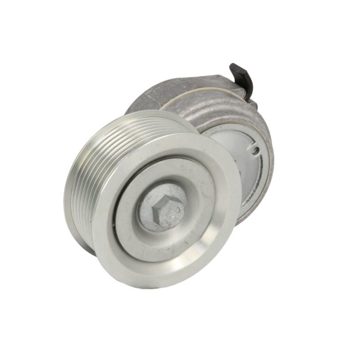 Image of Spanpoelie, V-riem