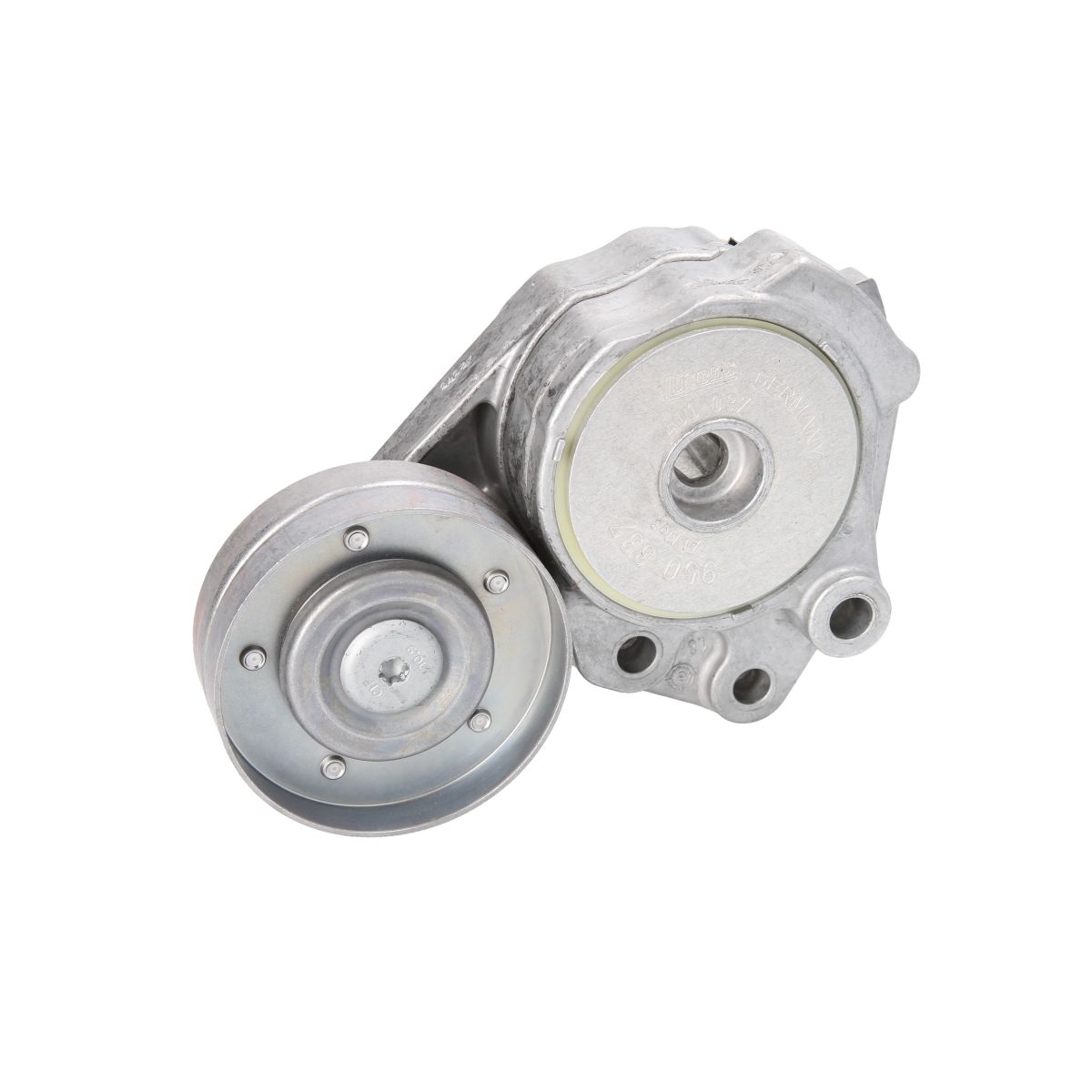 Image of Spanpoelie, V-riem