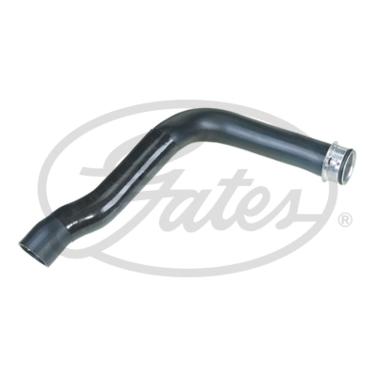 Image of Radiatorslang