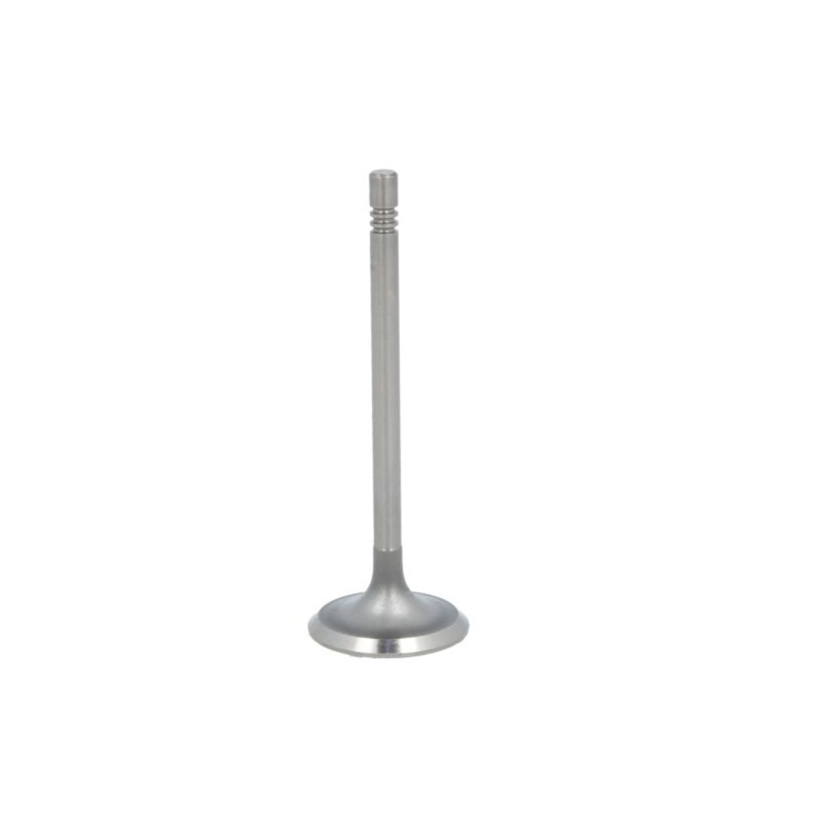 Paradowscy Inlaatklep  R6452, S