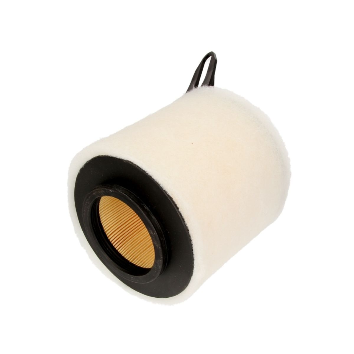 Filtron Filtro Aria Ak362/3