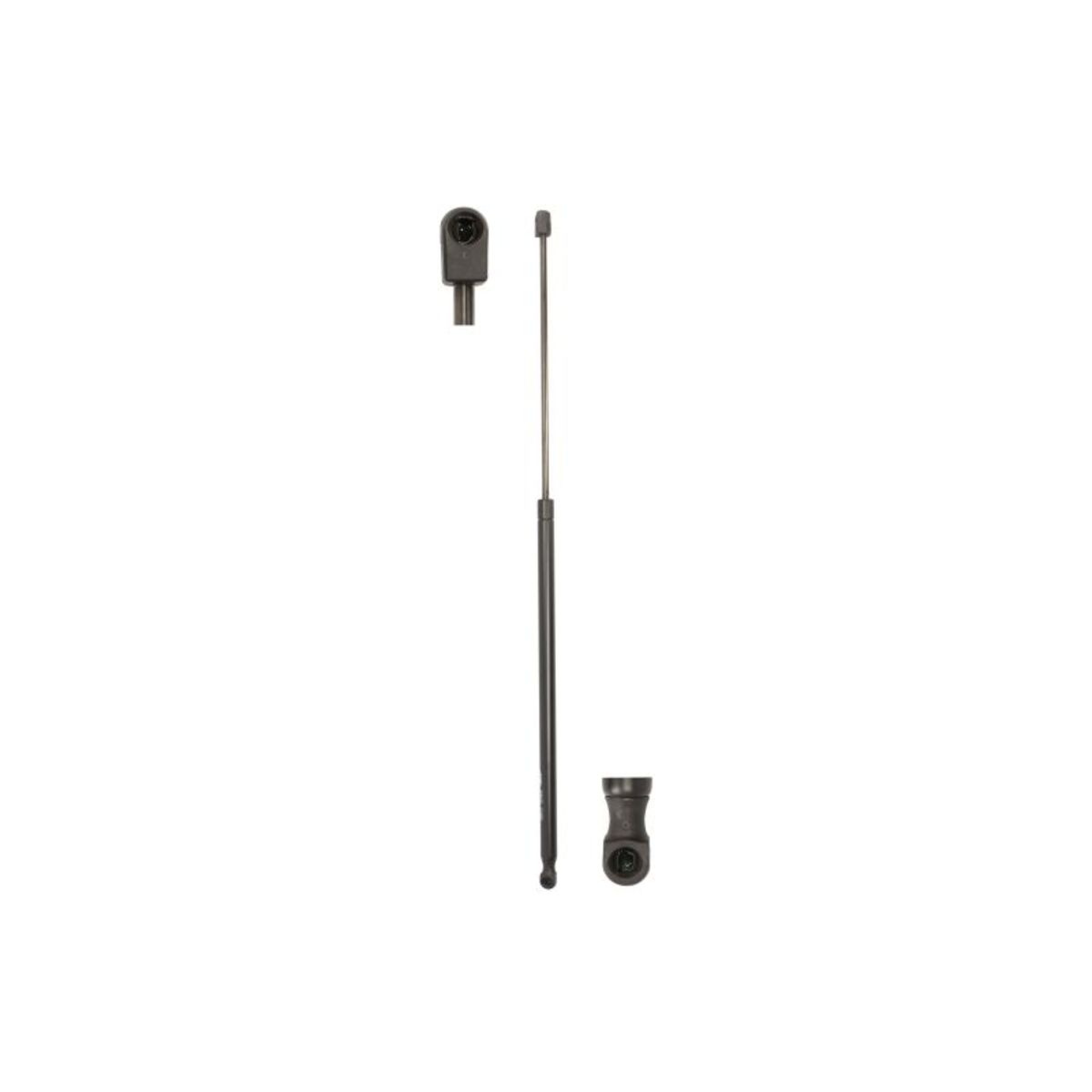 Magneti Marelli Gasfeder, Motorhaube 430719013809