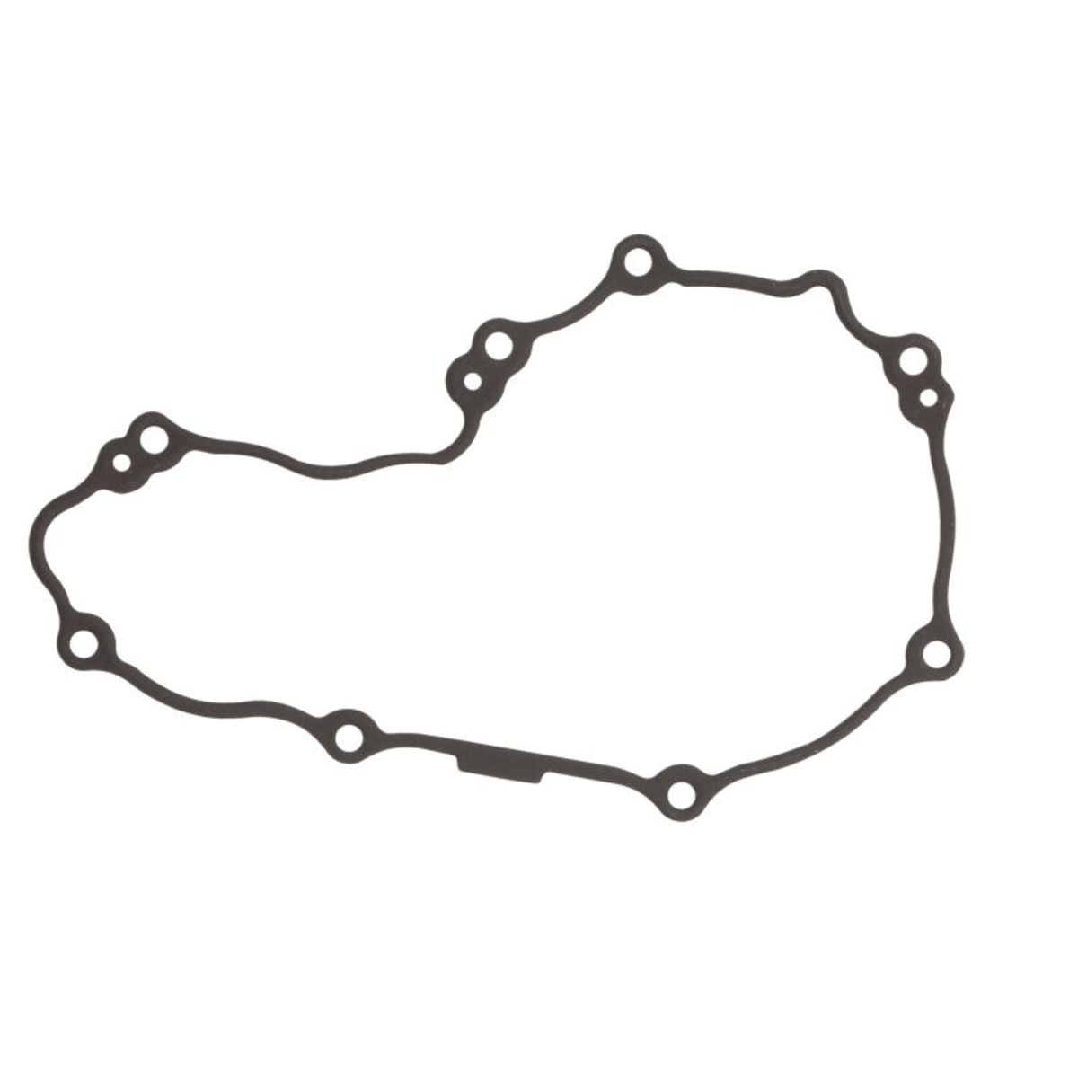 Generatordeckeldichtung WINDEROSA 816295