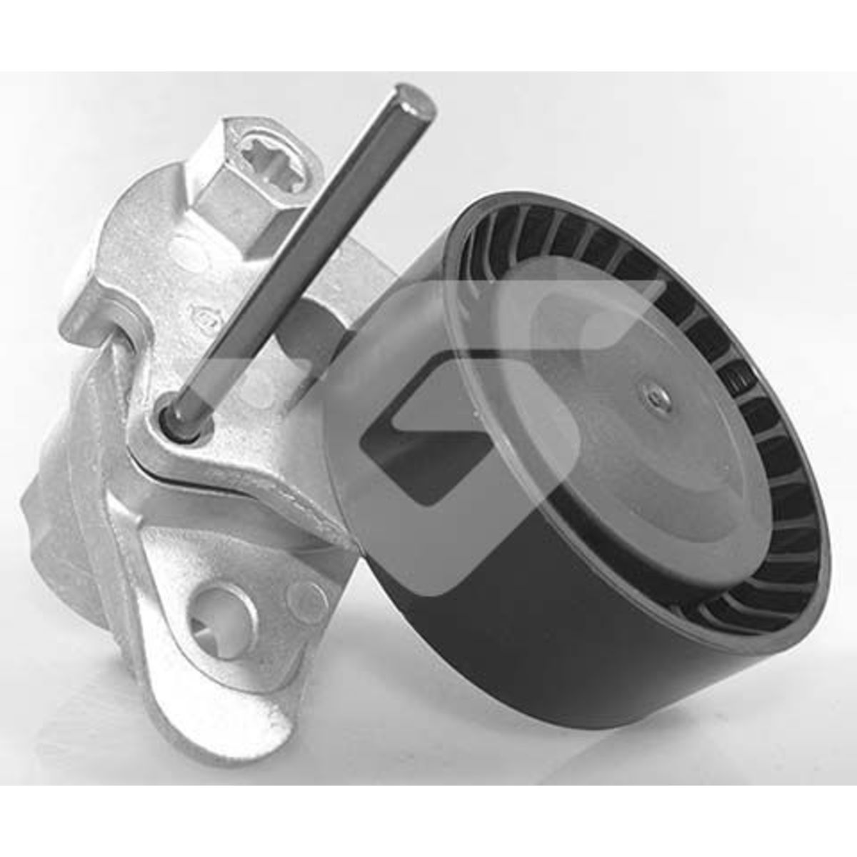 Hutchinson Spanpoelie, V-riem  T0575