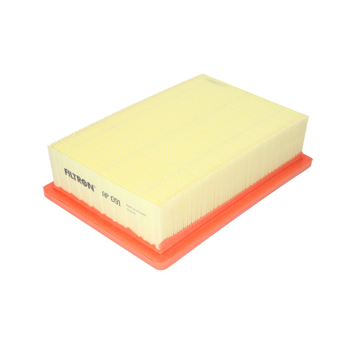 Filtro aria FILTRON AP091