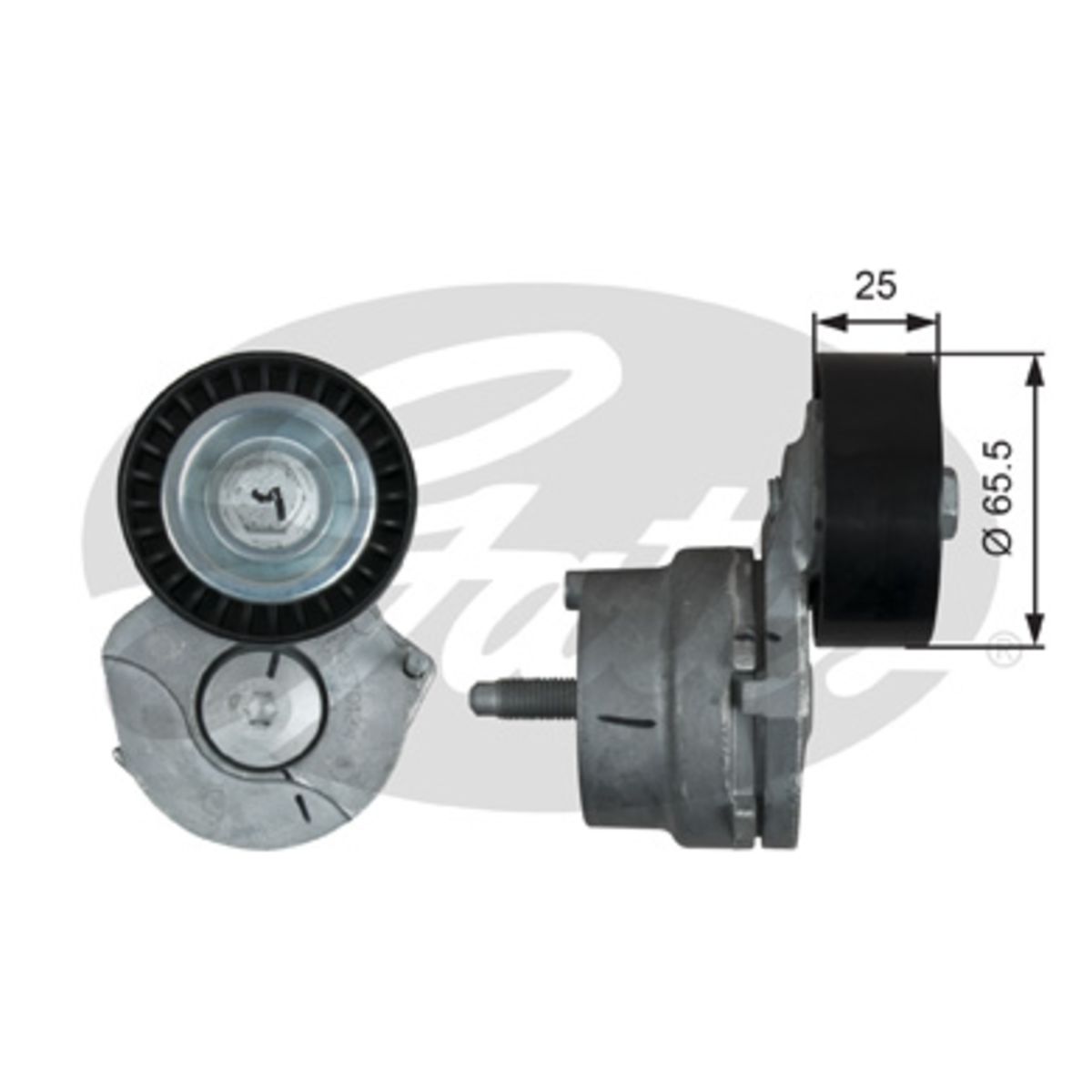 Image of Spanpoelie, V-riem