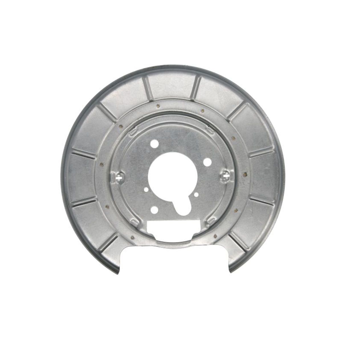 Chapa protectora contra salpicaduras, disco de freno BLIC 6508-03-5536877P izquierda