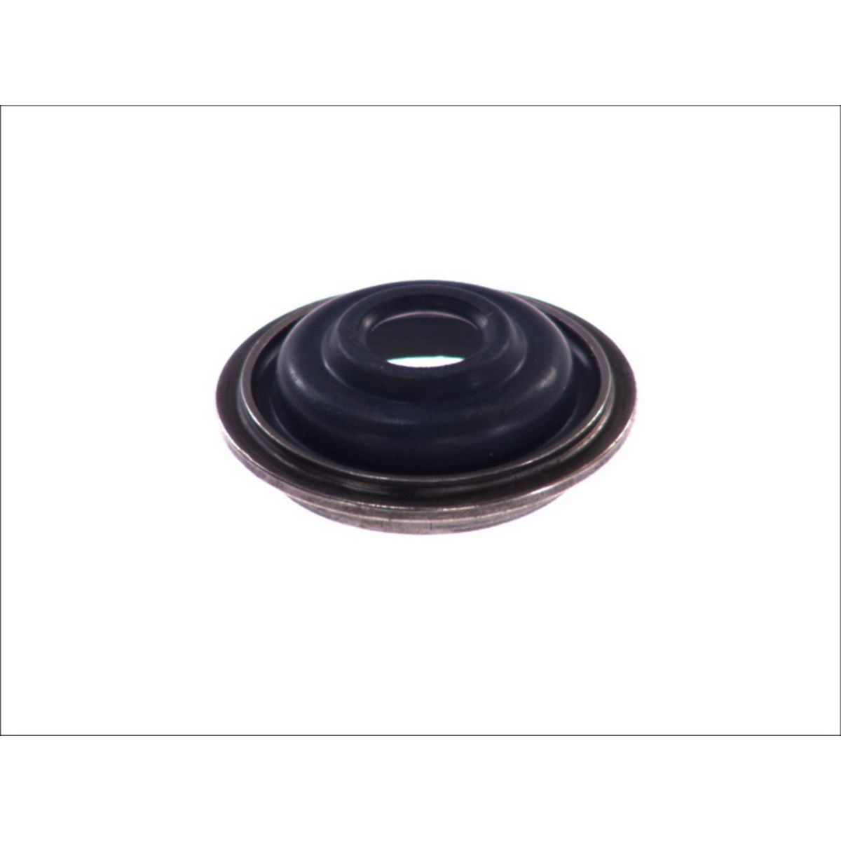 Image of Reparatieset, remschoenversteller