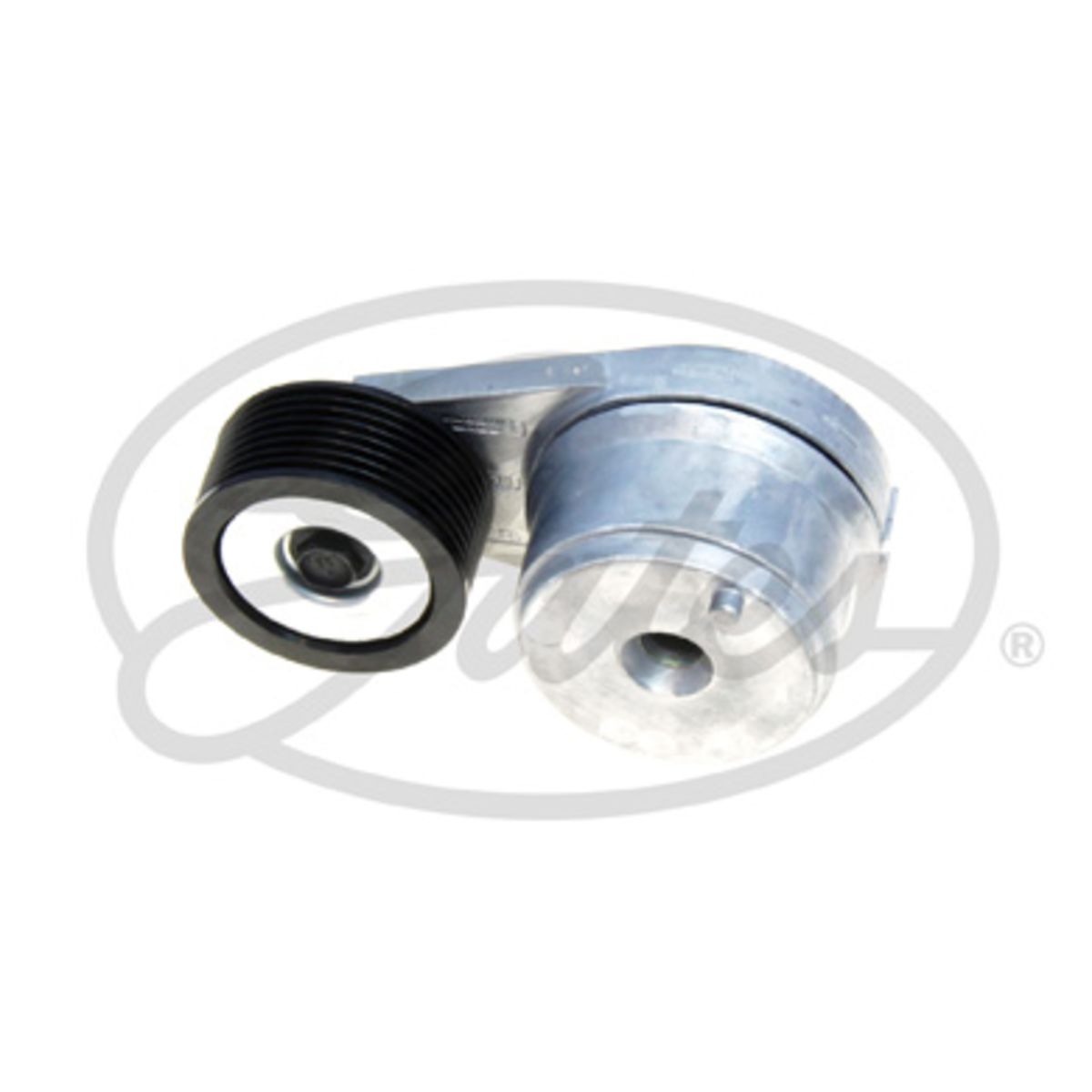 Image of Riemspanner, Poly V-riem