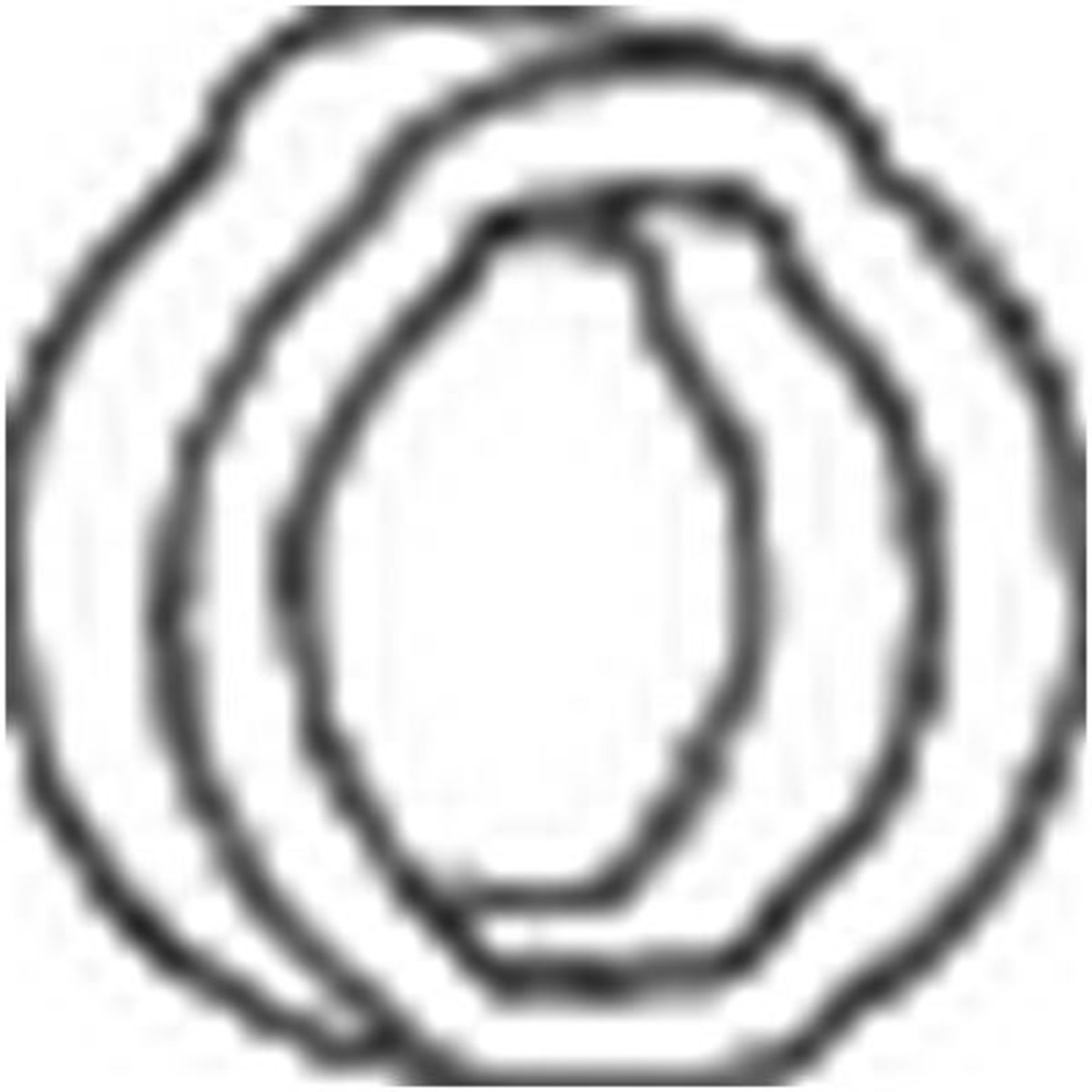 Image of Rubberstrip, uitlaatsysteem  255-356
