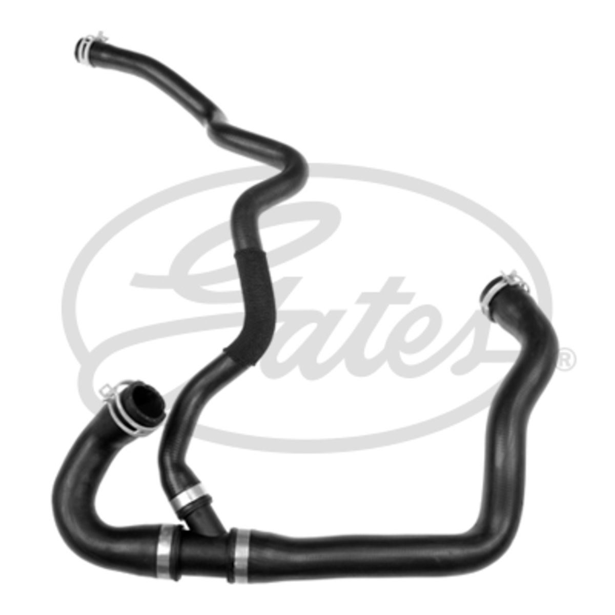 Image of Radiatorslang