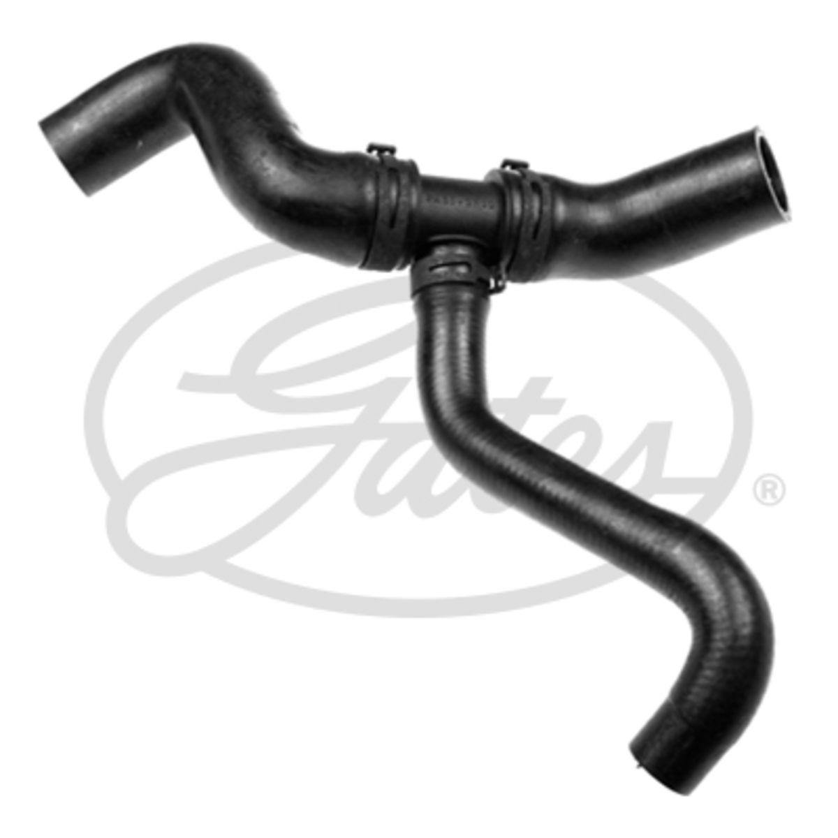 Image of Radiatorslang
