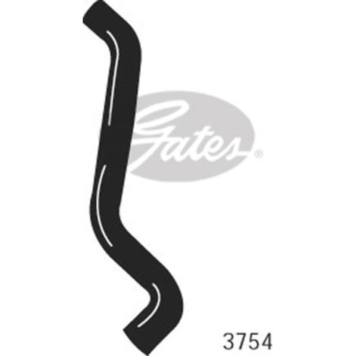 Image of Radiatorslang