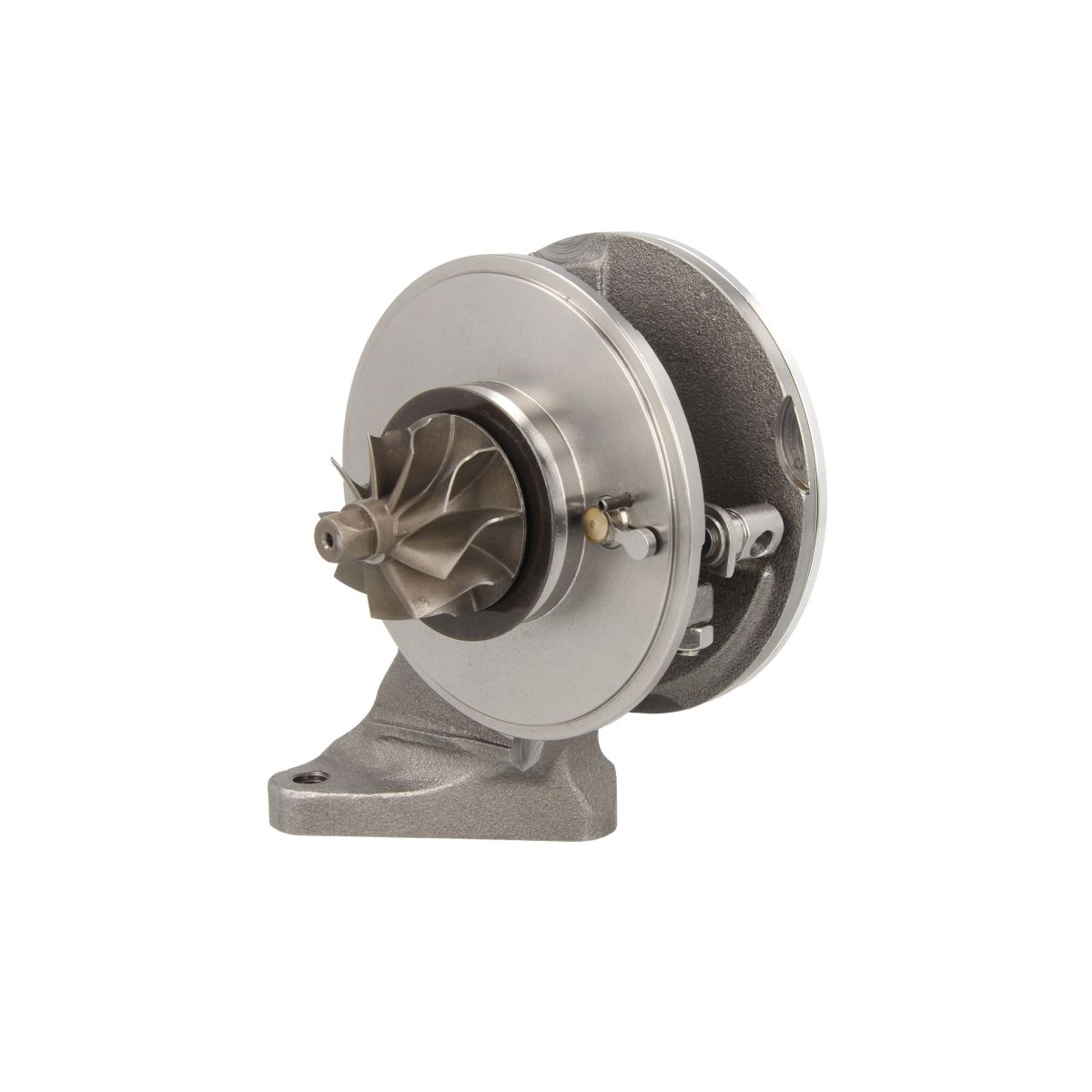 Image of Patroon / CHRA / kernassemblage