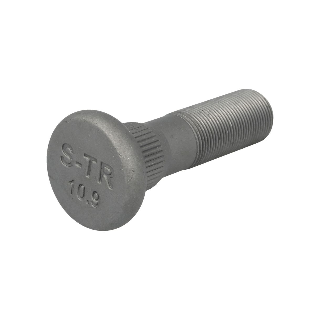 Image of Wielbout  40804