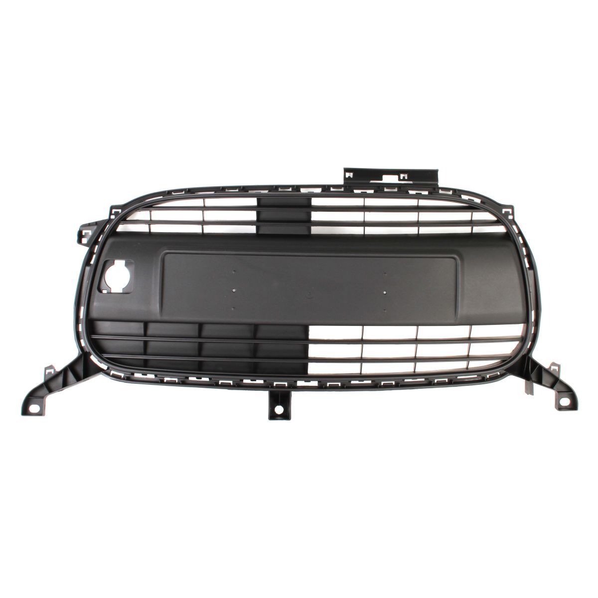 PRASCO CI2032001 Griglia Radiatore - Immagine 4