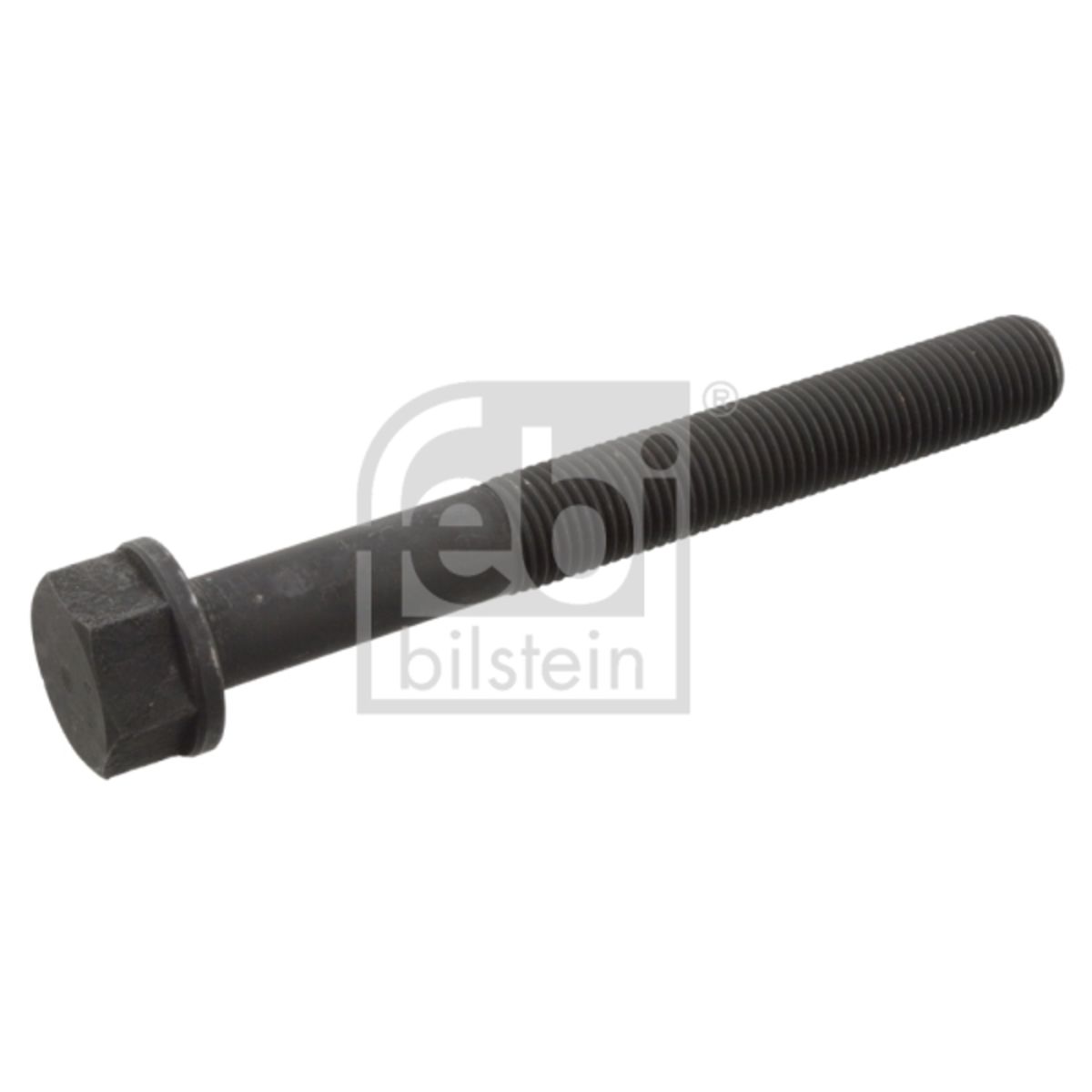 Febi Schroef  10734