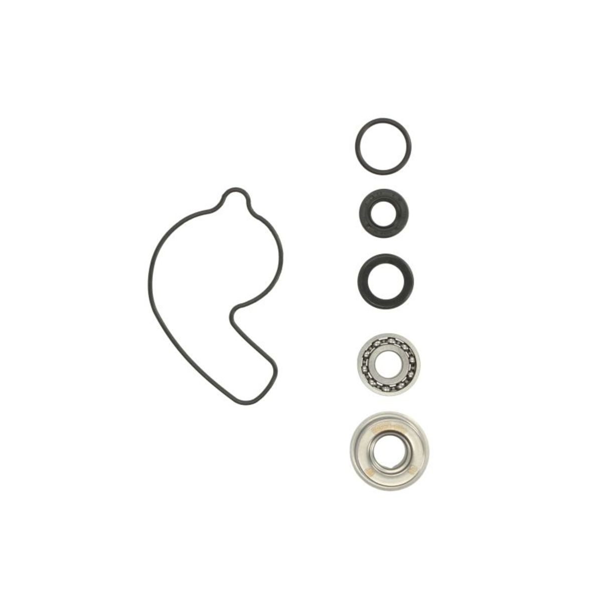 Reparatursatz, Wasserpumpe HOT RODS WPK0014