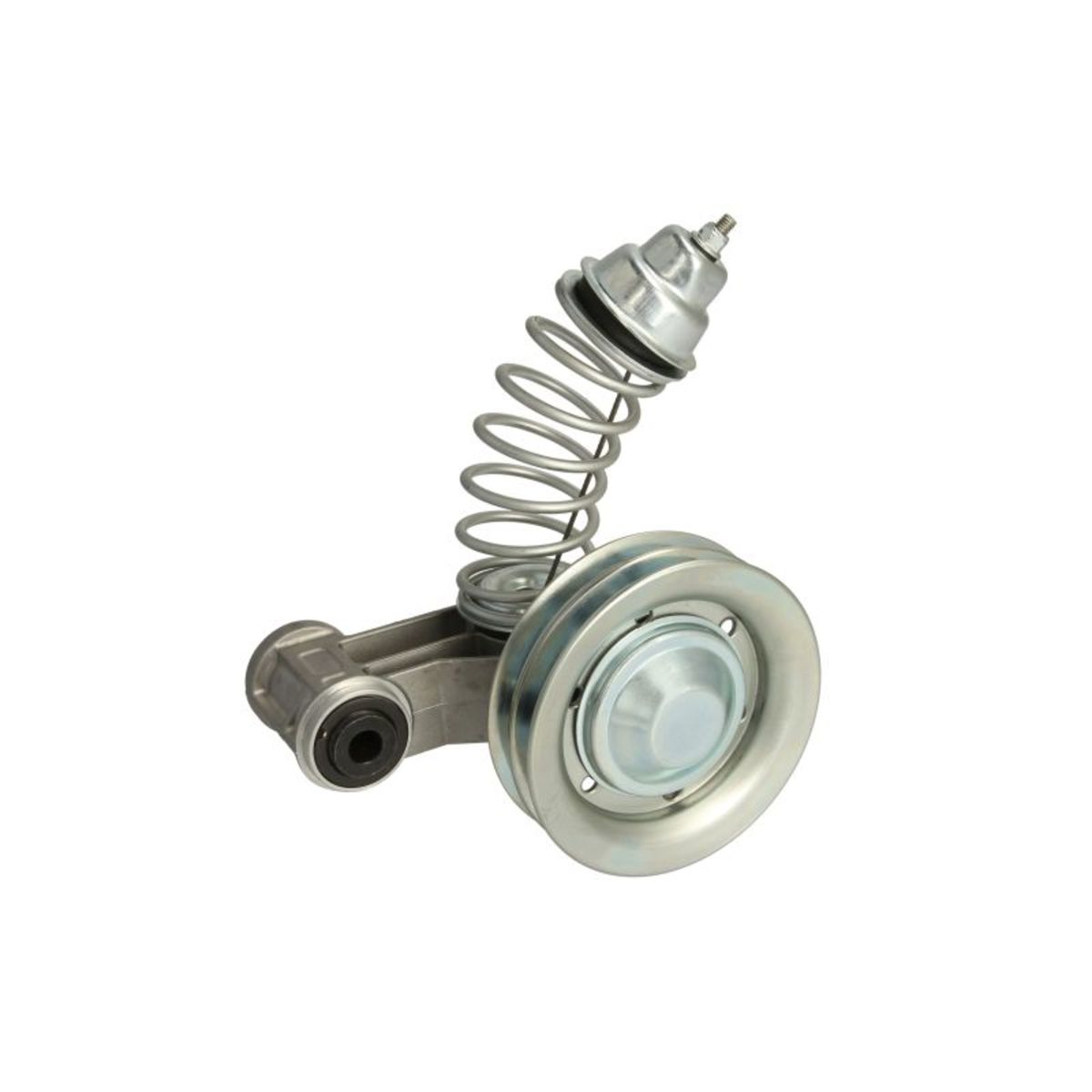 Image of V-riemspanner