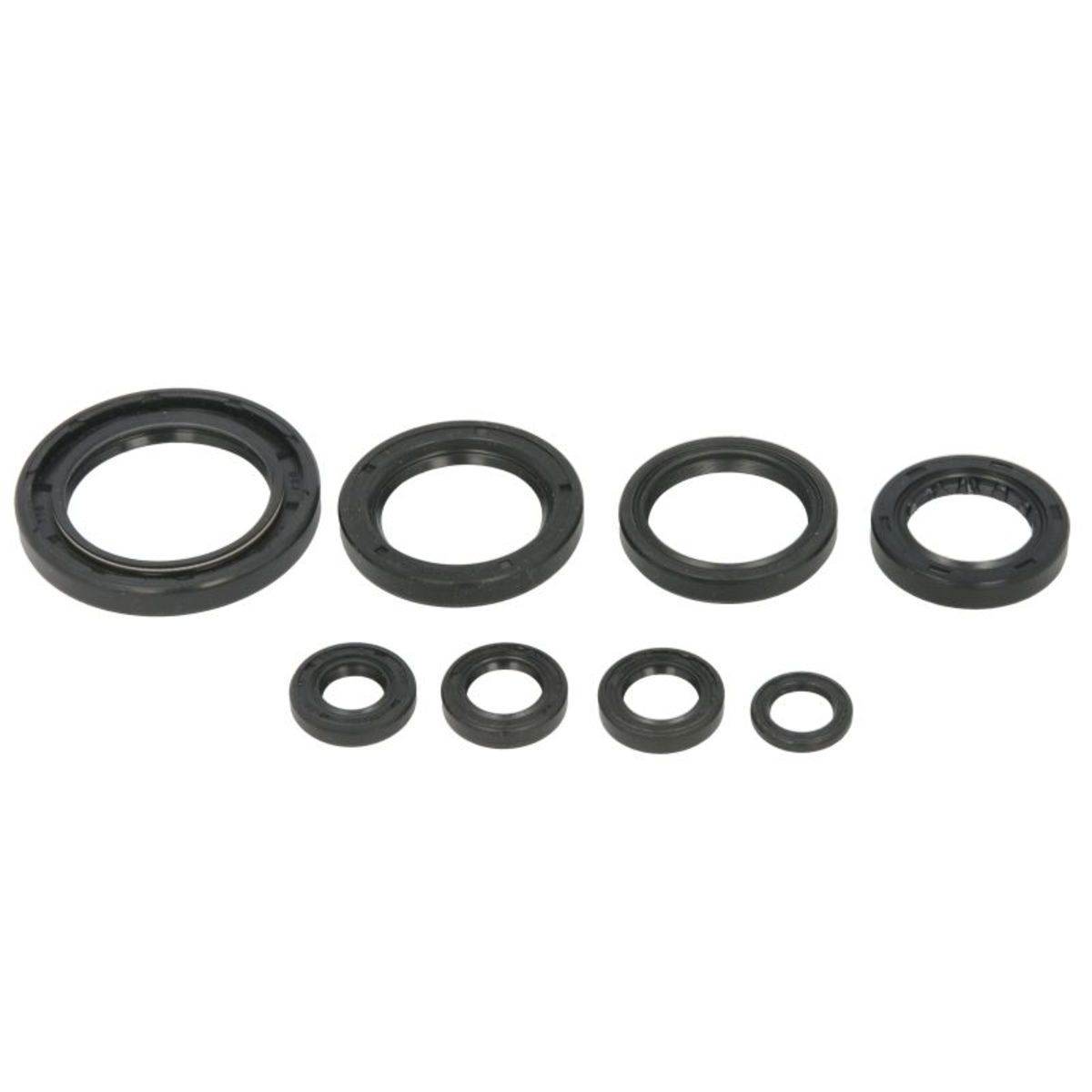 Motorsimmerringsatz WINDEROSA W822996