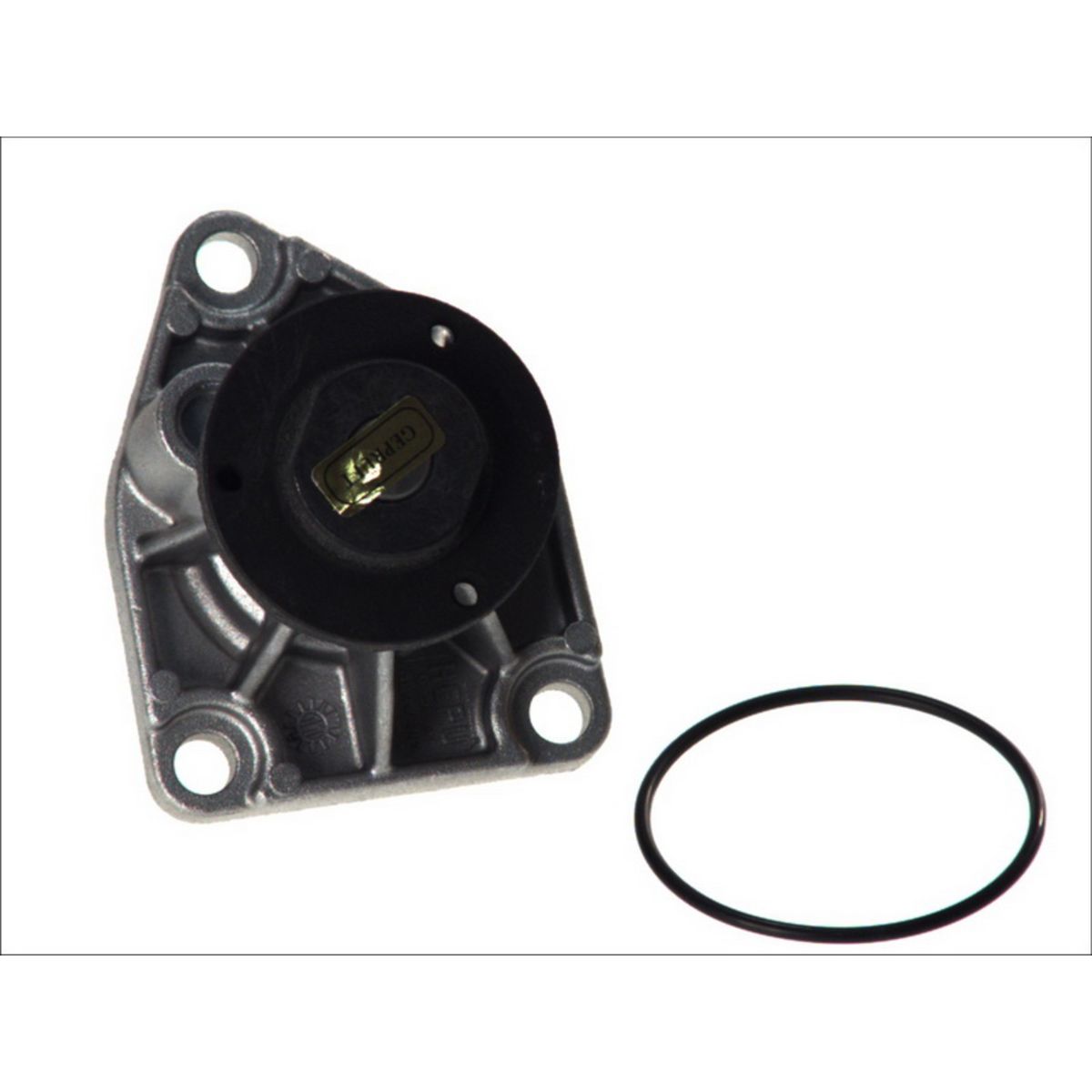 Hepu Pompa Dell'acqua P320