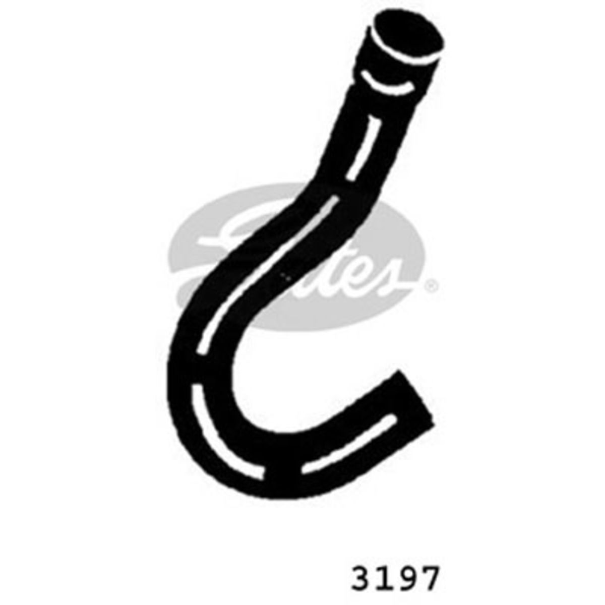 Image of Radiatorslang