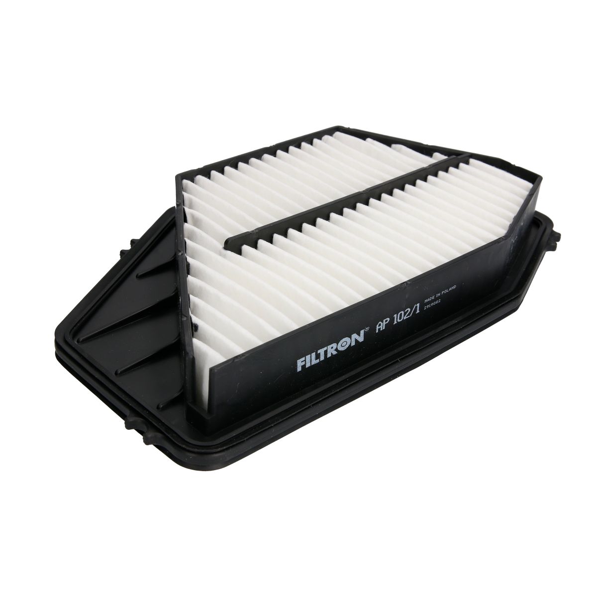 Filtron Filtro Aria Ap102/1