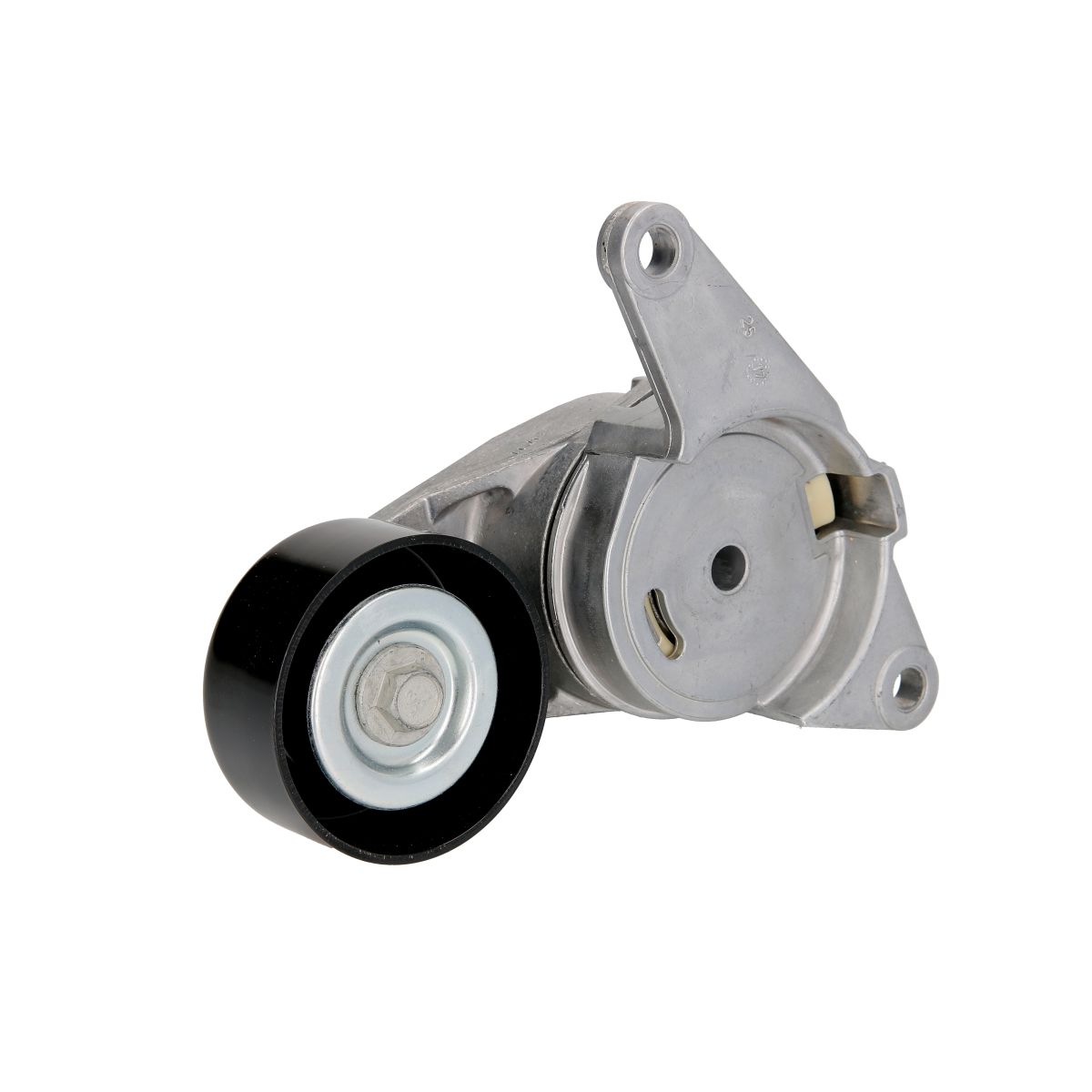 Image of Spanpoelie, V-riem