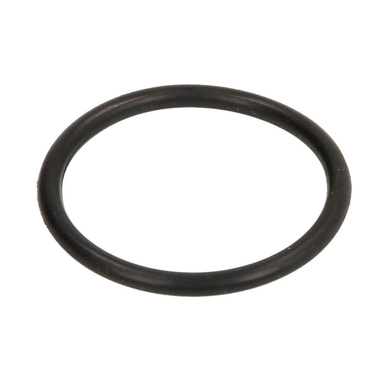 Image of O-ring motoras