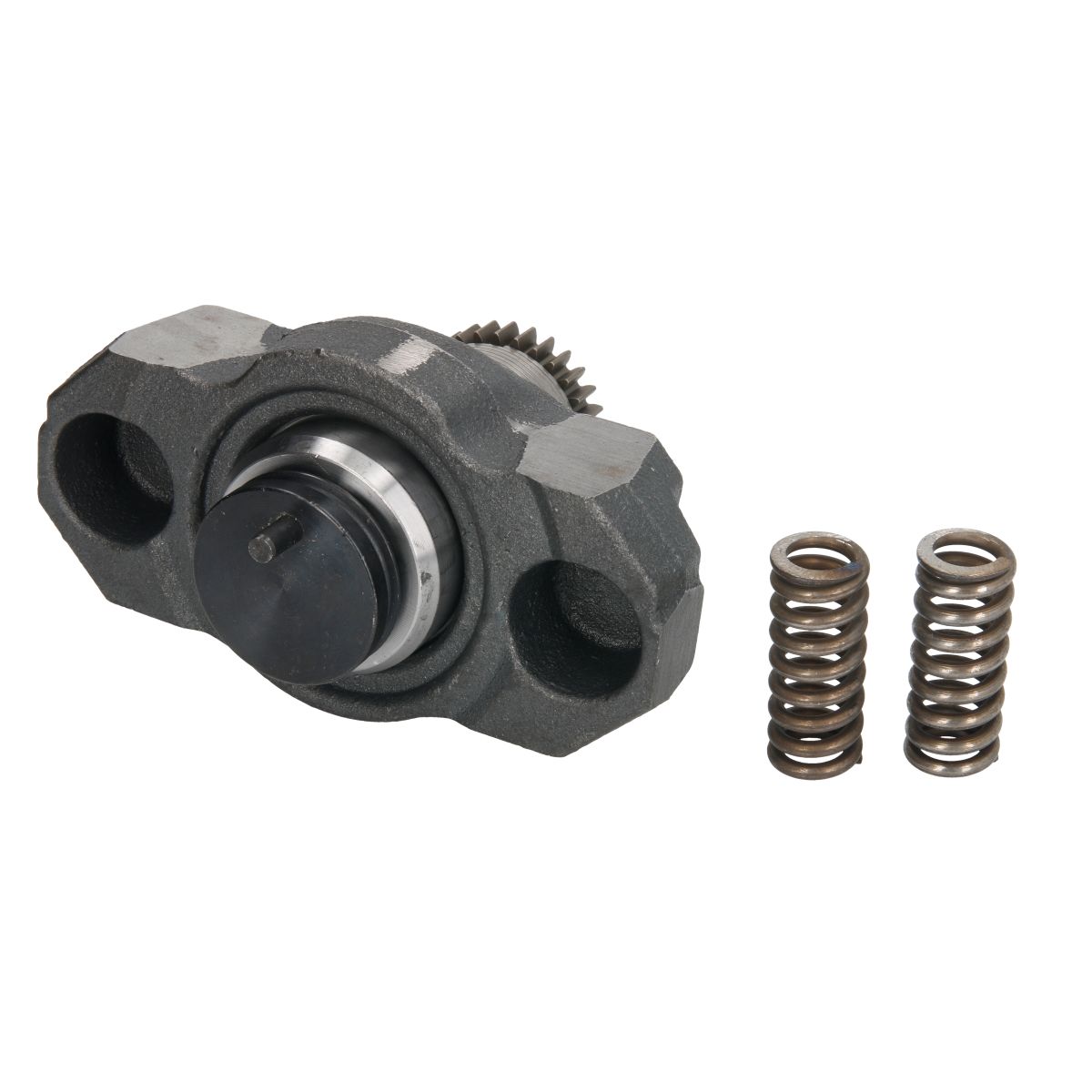 Image of Reparatieset, remklauw