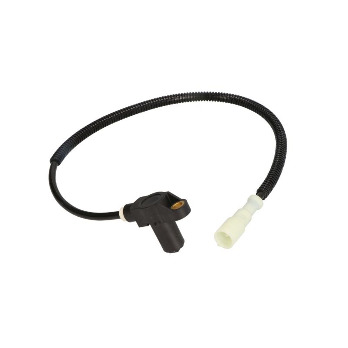 Delphi Sensor, Raddrehzahl Ss20021