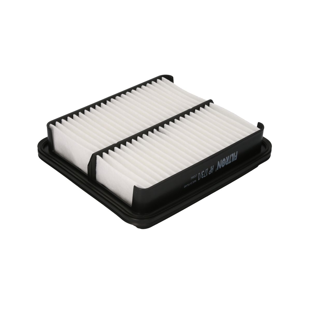 Filtron Filtro Aria Ap173/1