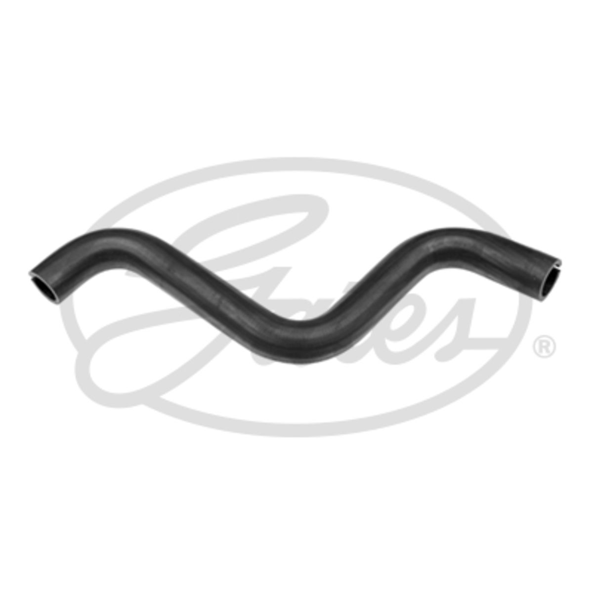 Image of Radiatorslang