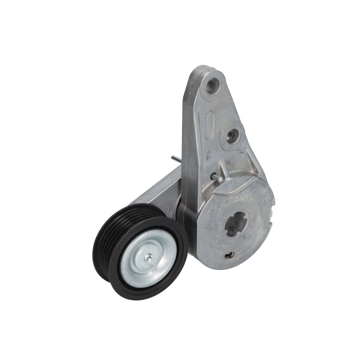 Bta Tenditore Della Cinghia Poly-V E3g0005bta