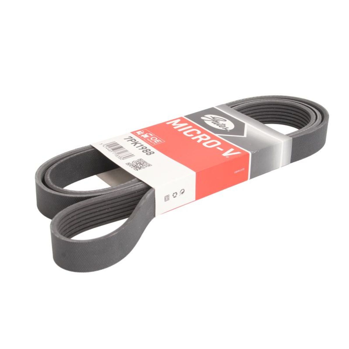Nero Cinghia Poly-V Gates 7Pk1988