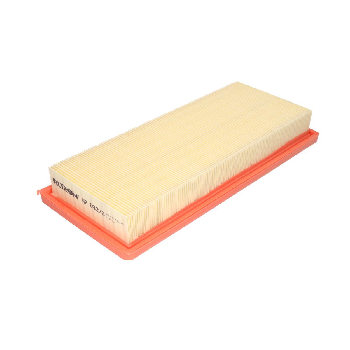 Filtro aria FILTRON AP092/9