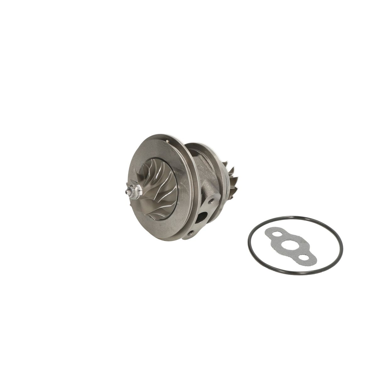 Image of Patroon / CHRA / kernassemblage