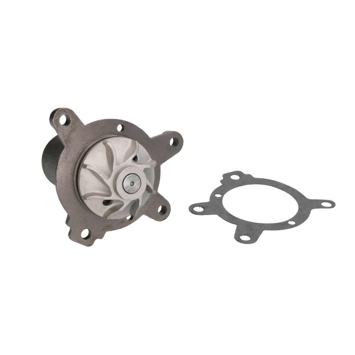Thermotec Pompa Dell'acqua D1m002tt