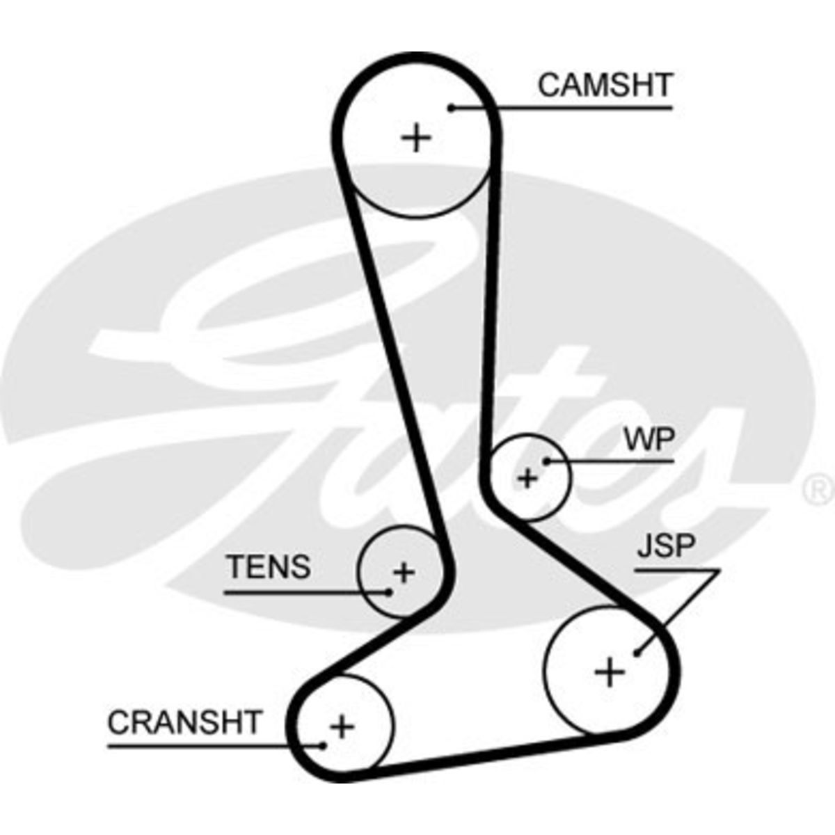 Image of Distributieriem  GAT
