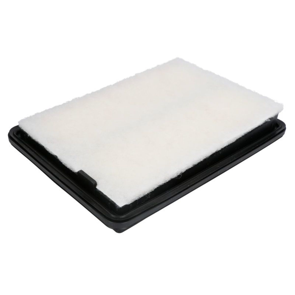 Filtron Luftfilter Ap 124/3