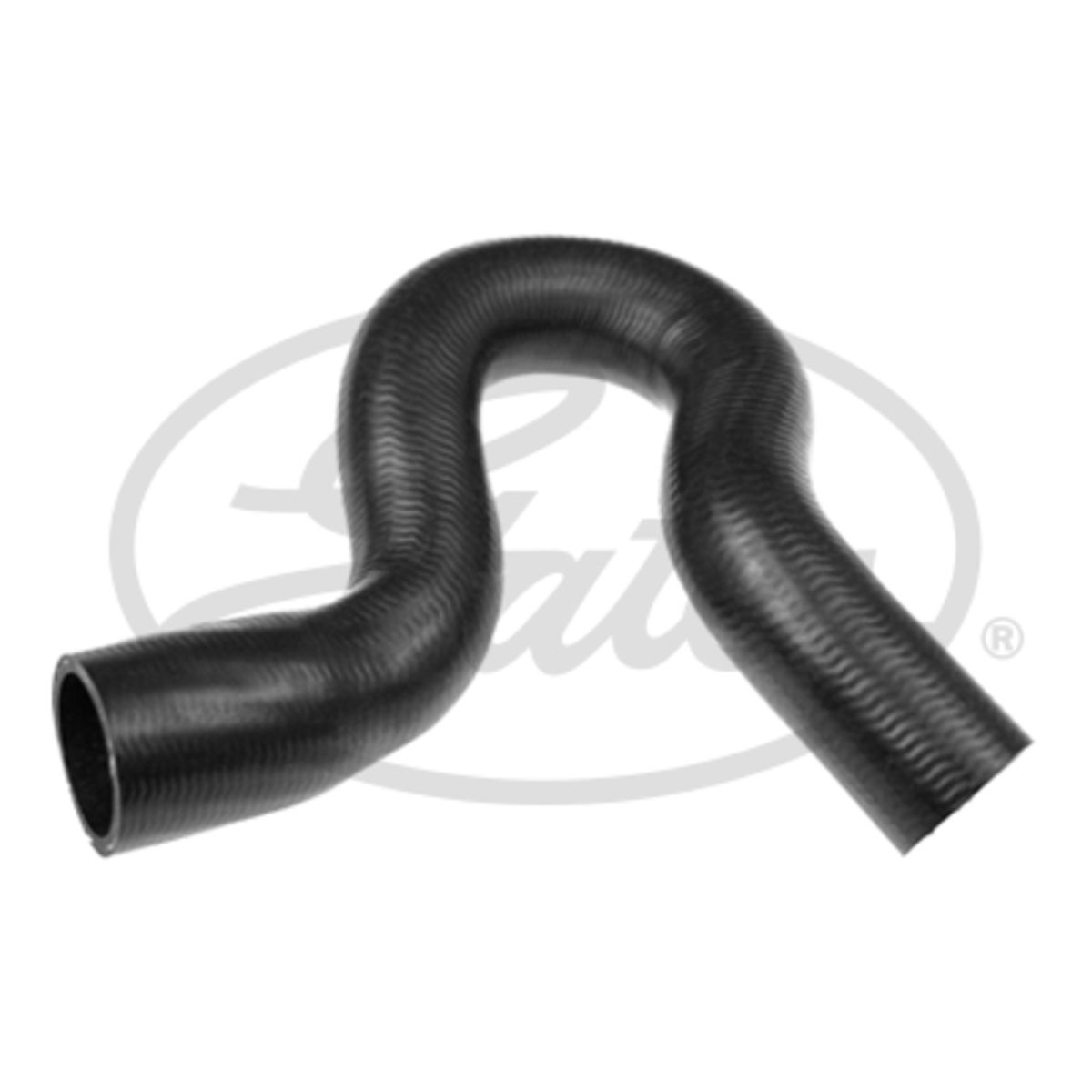 Image of Radiatorslang