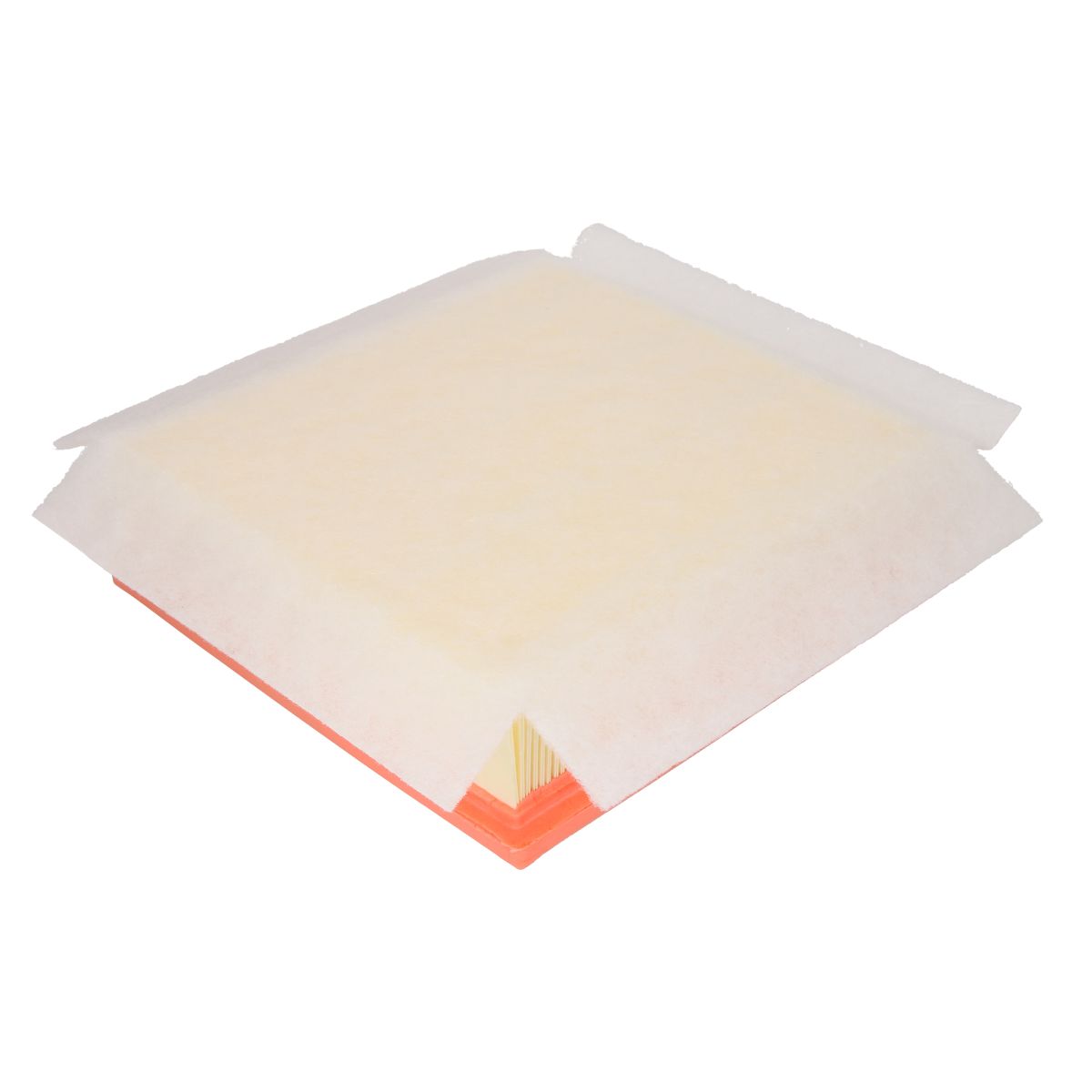 Filtron Filtro Aria Ap072/2