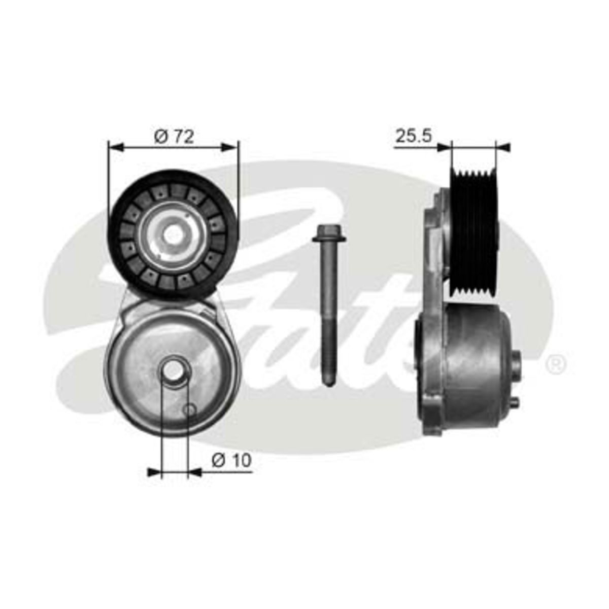 Image of Riemspanner, Poly V-riem