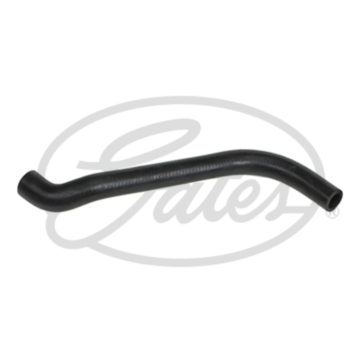 Image of Radiatorslang