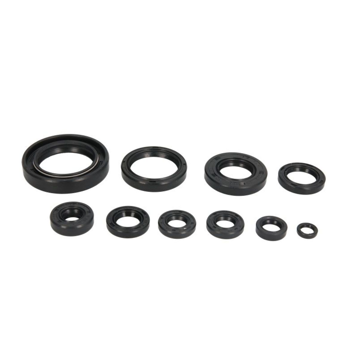 Motorsimmerringsatz WINDEROSA 822118