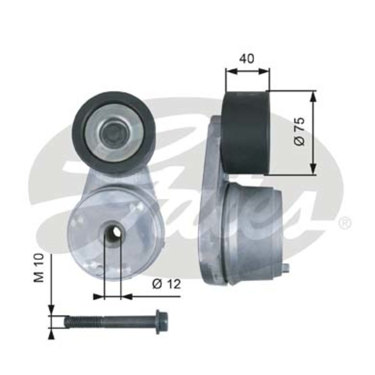 Image of Riemspanner, Poly V-riem  GAT