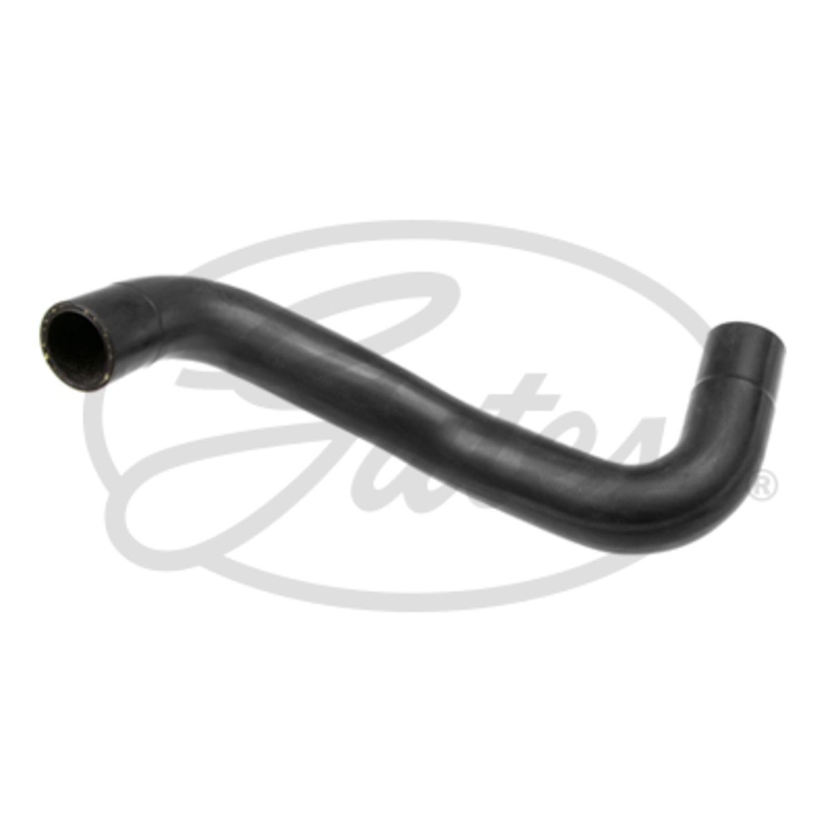 Image of Radiatorslang
