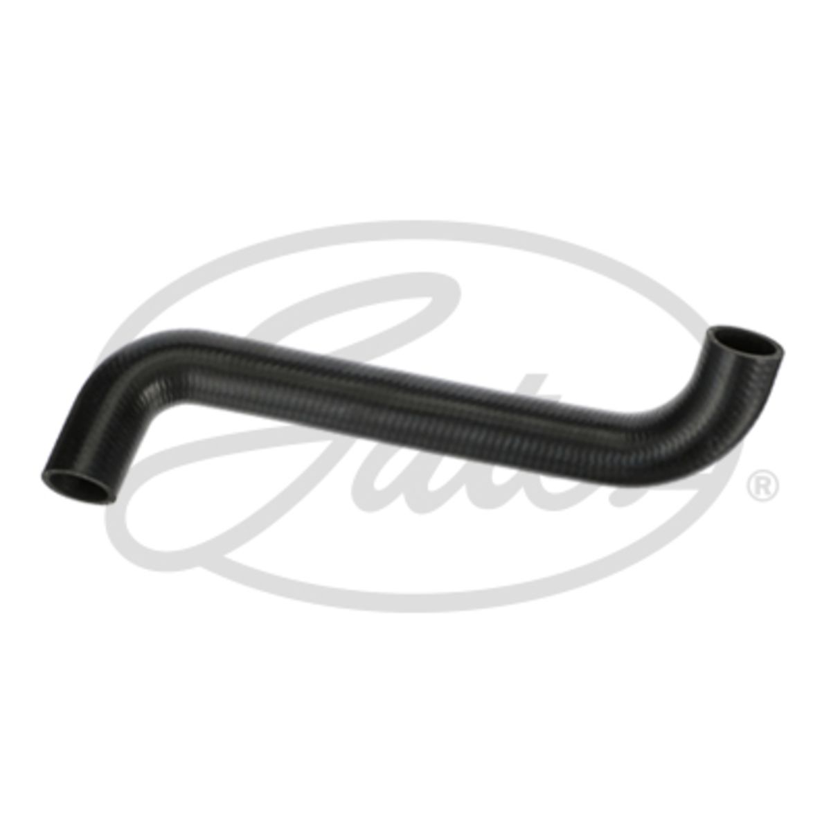 Image of Radiatorslang