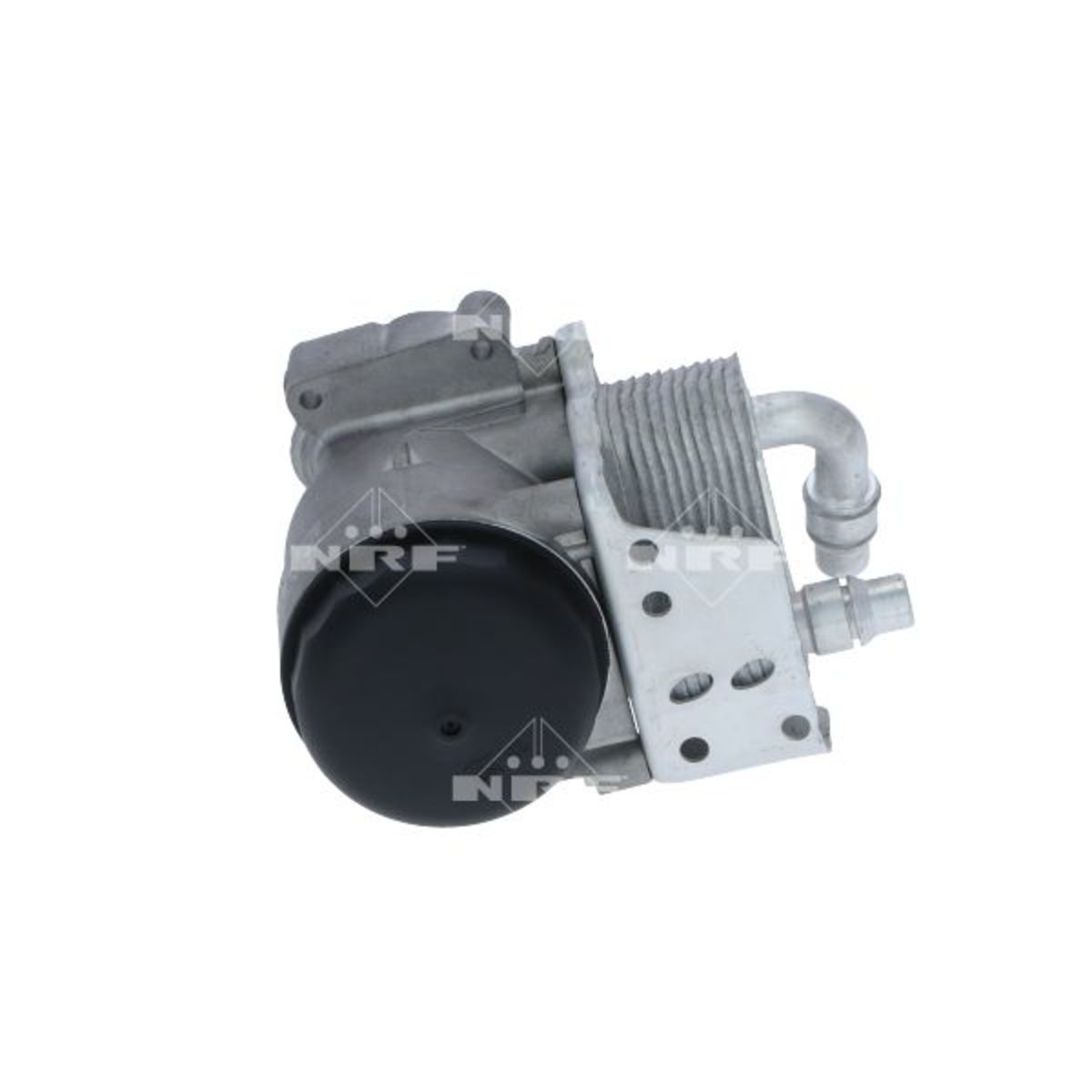 Olie radiator, motorolie